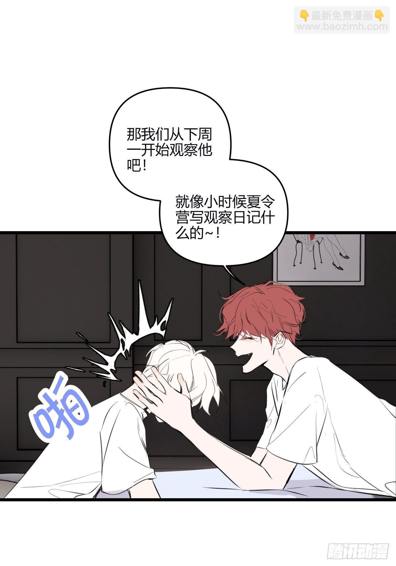 观察日记（上）