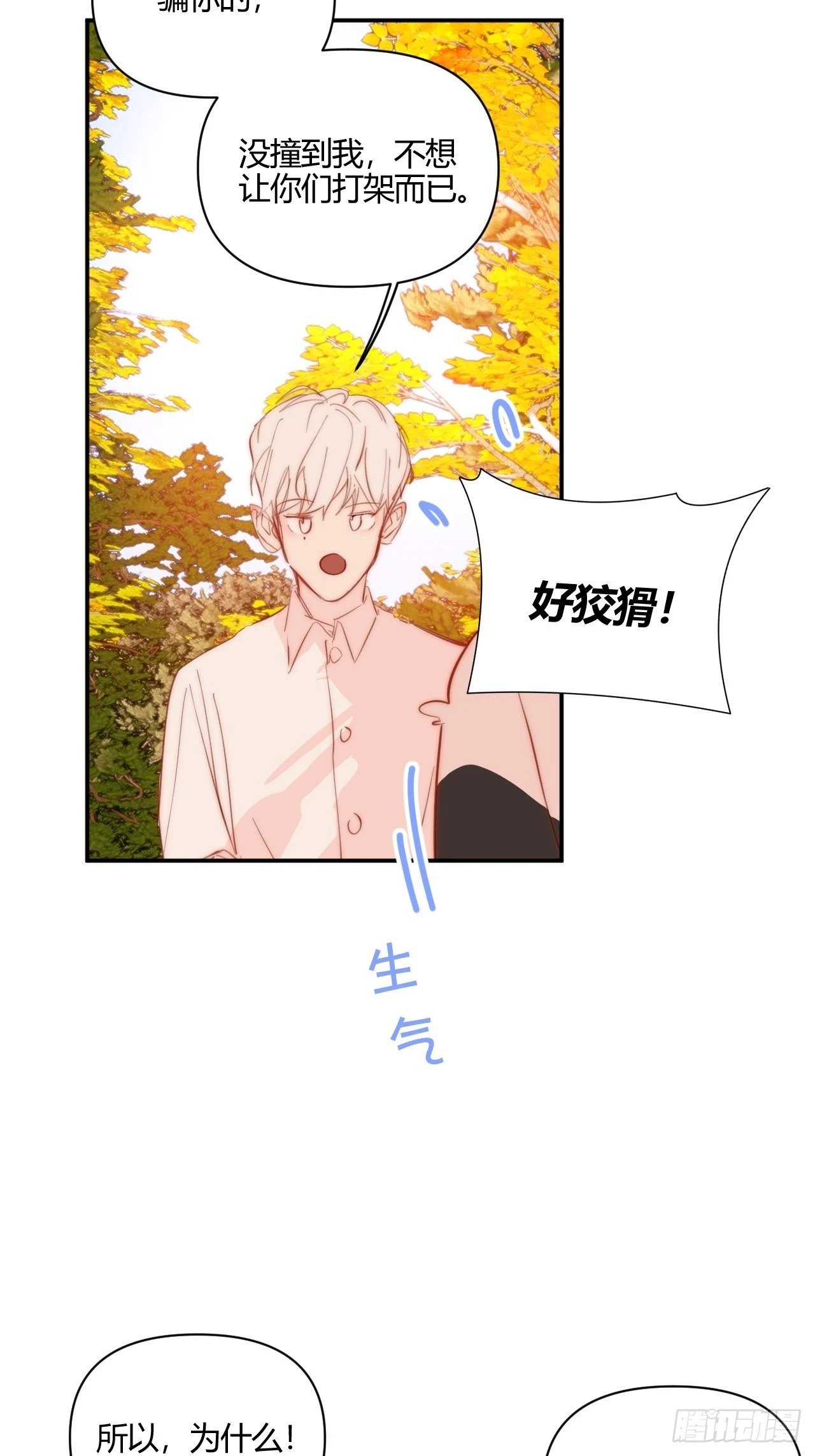 Fever