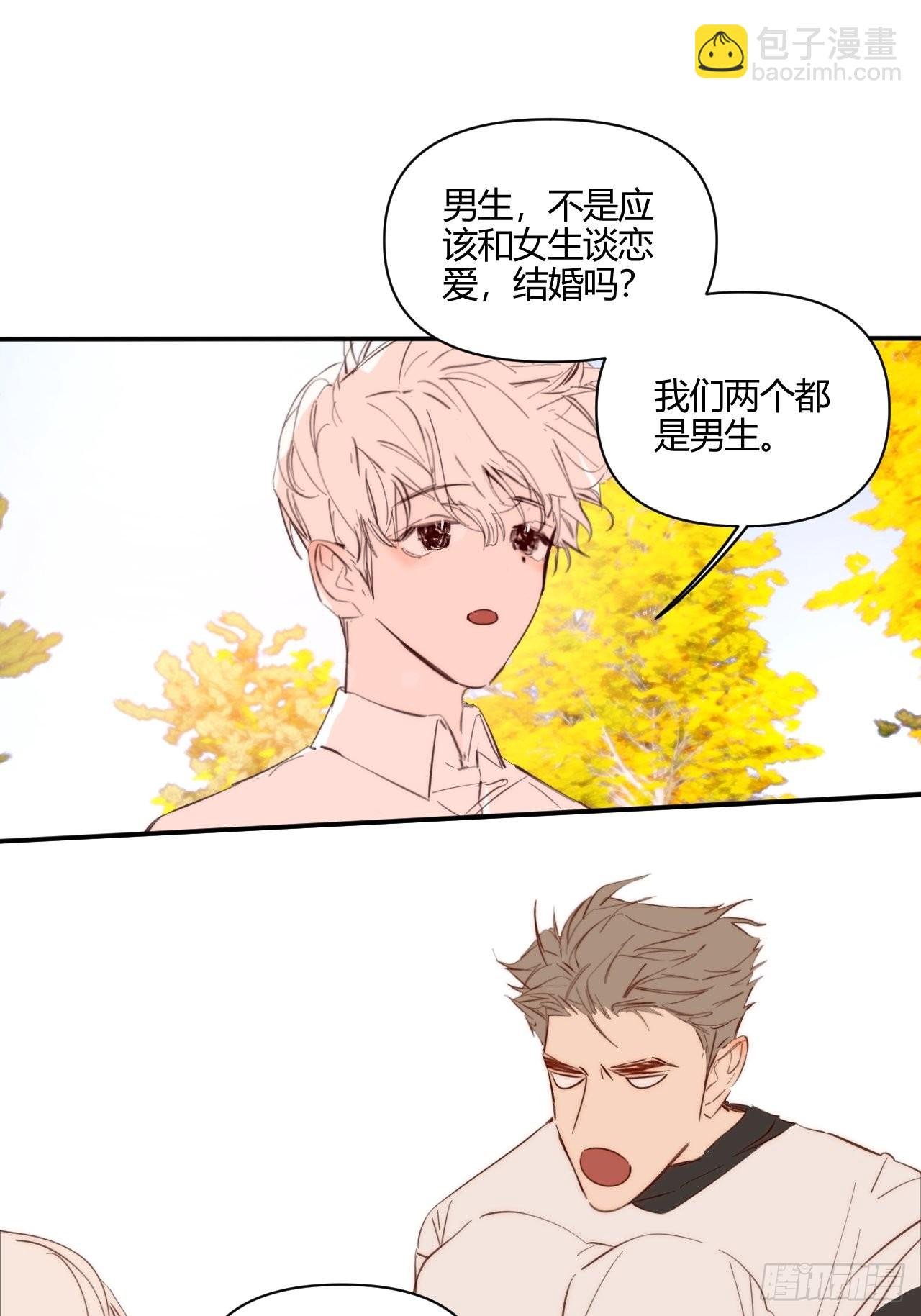 Fever
