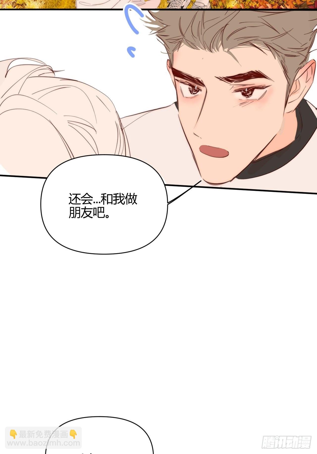 Fever