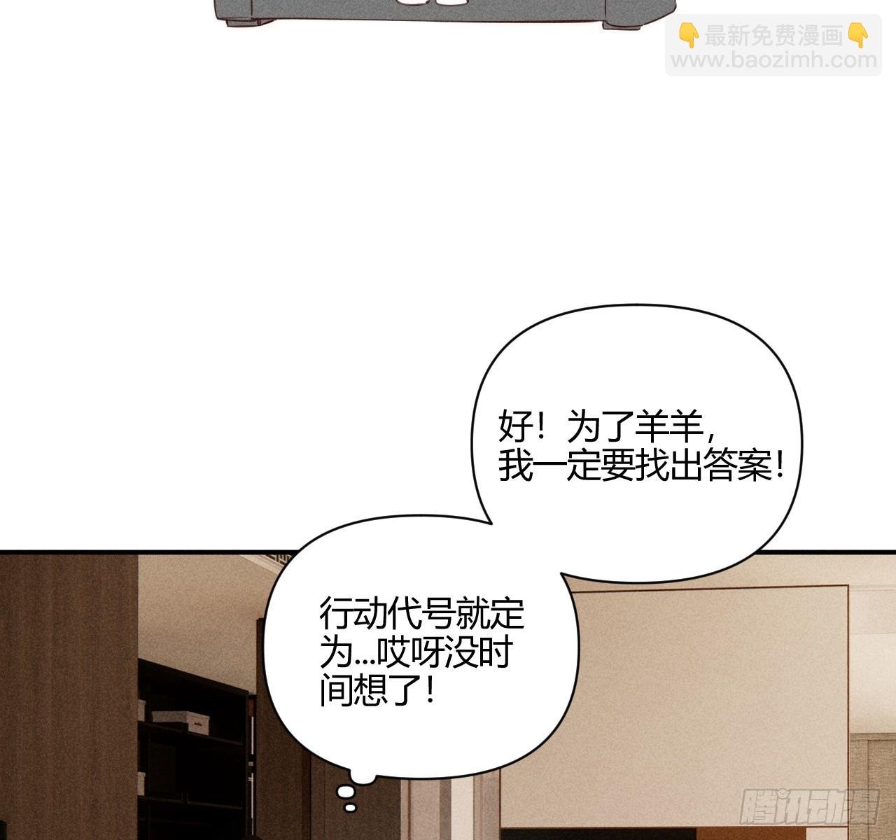 坚强的小狗