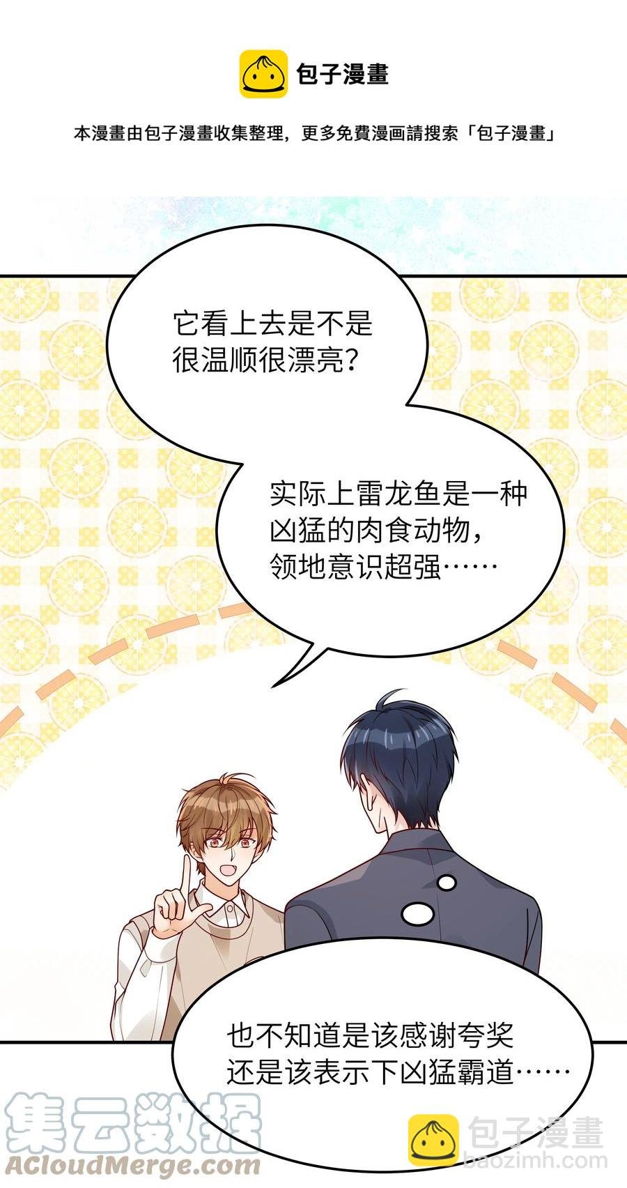 043 下次送你