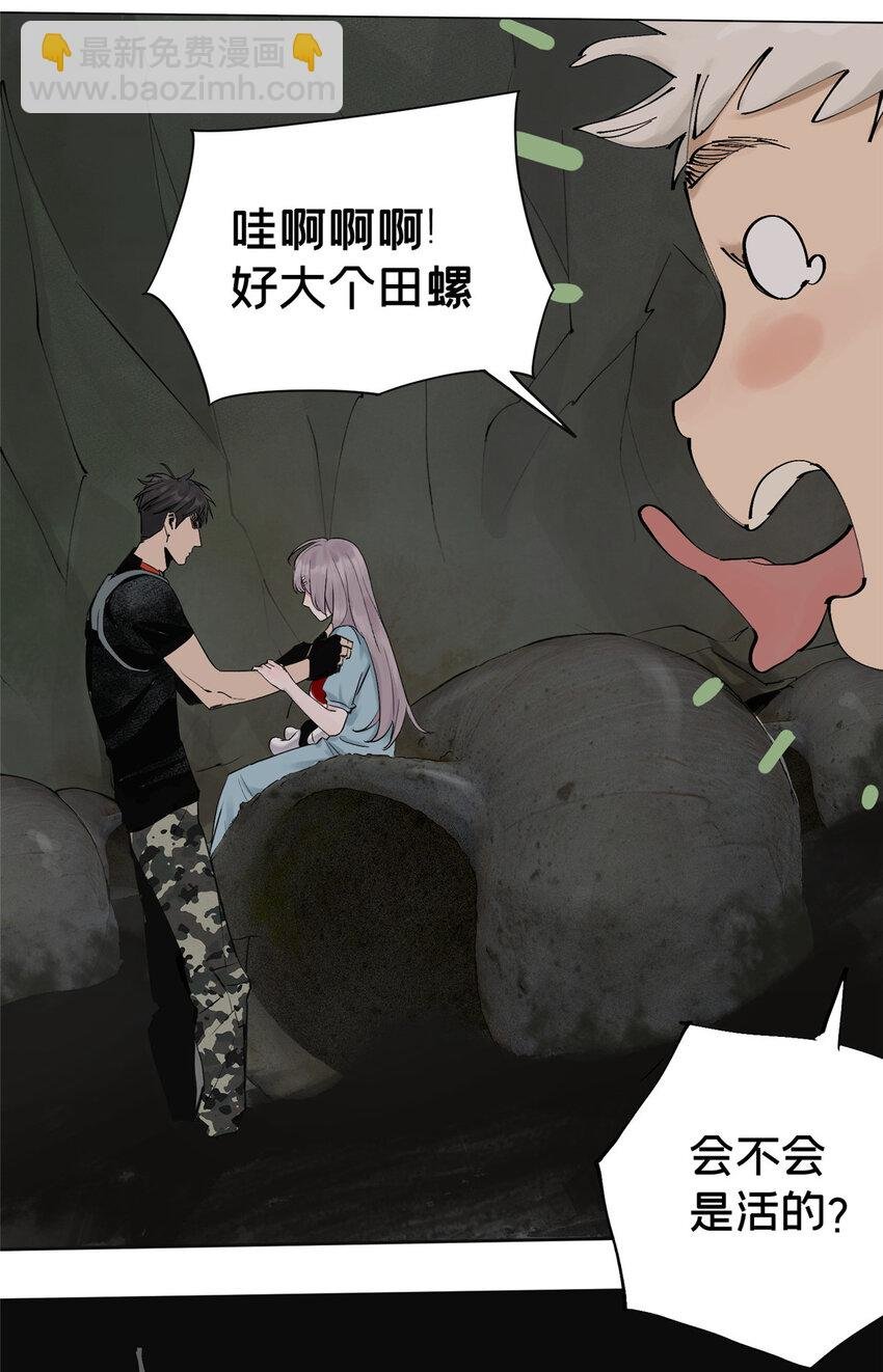 17 青蛙的金球