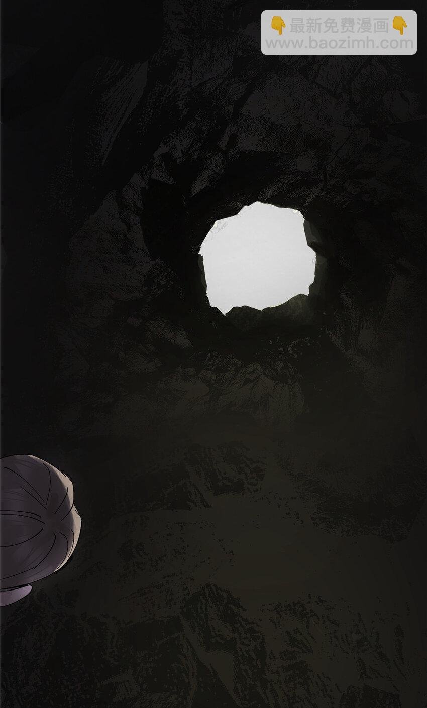 17 青蛙的金球
