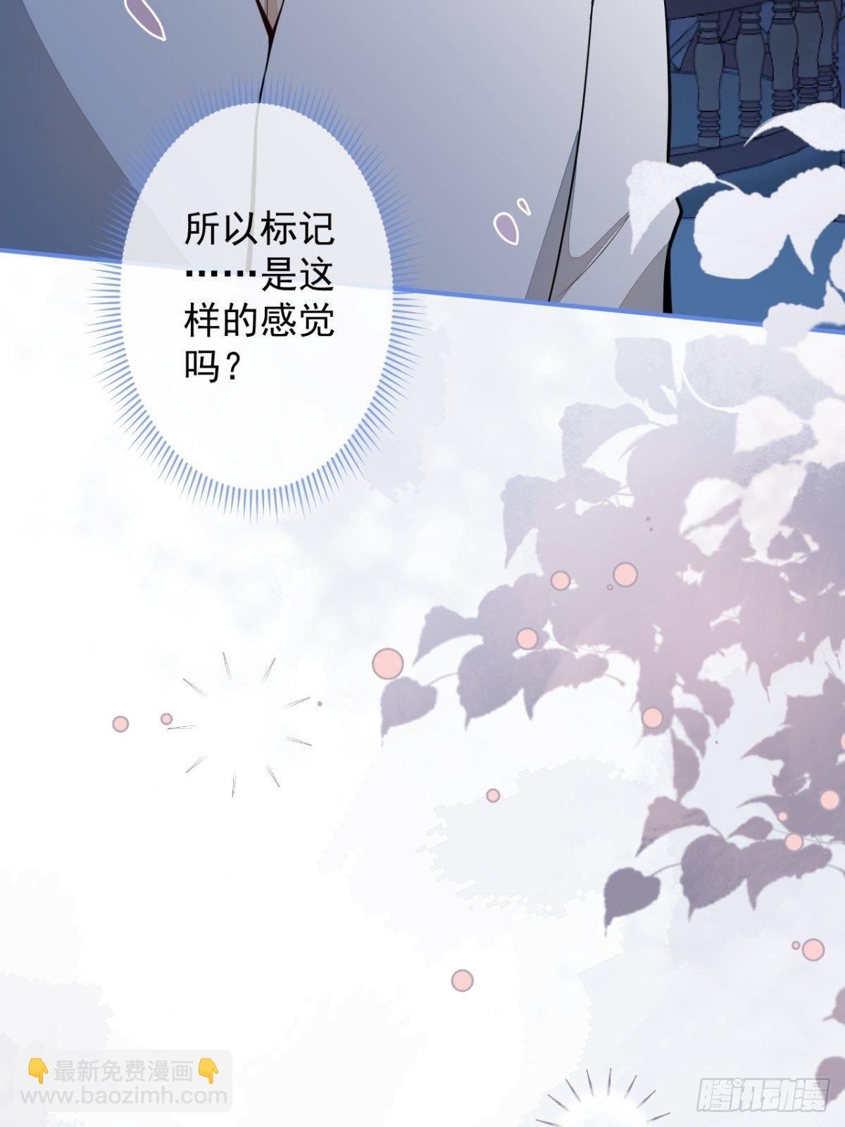 22-标记后的感觉