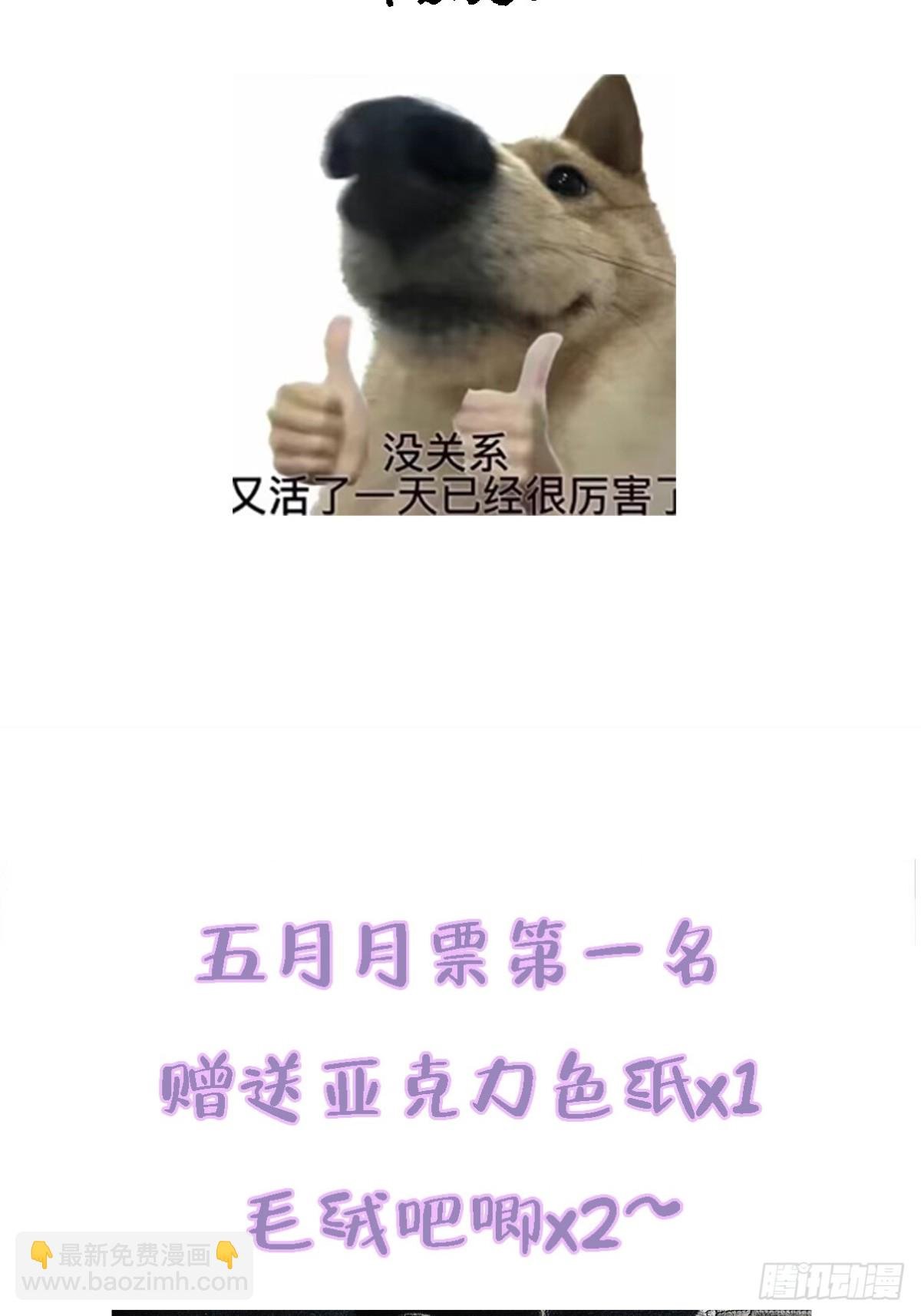 档案小剧场