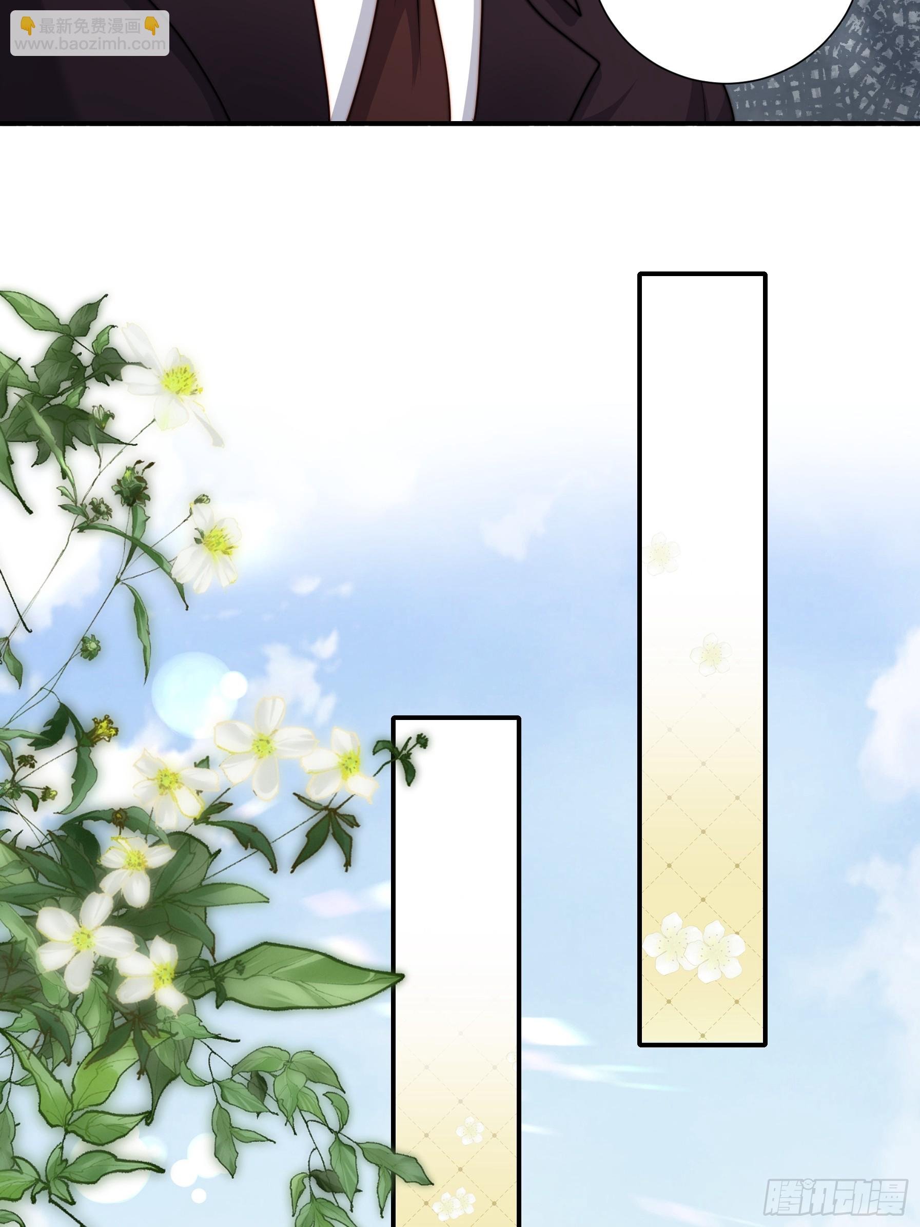 51 美会绽放