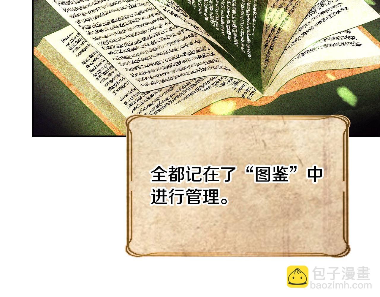 第44话 图鉴之外的圣物
