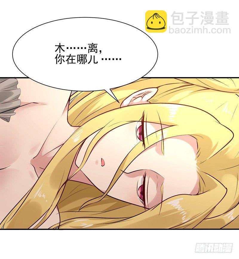第12话 大显身手