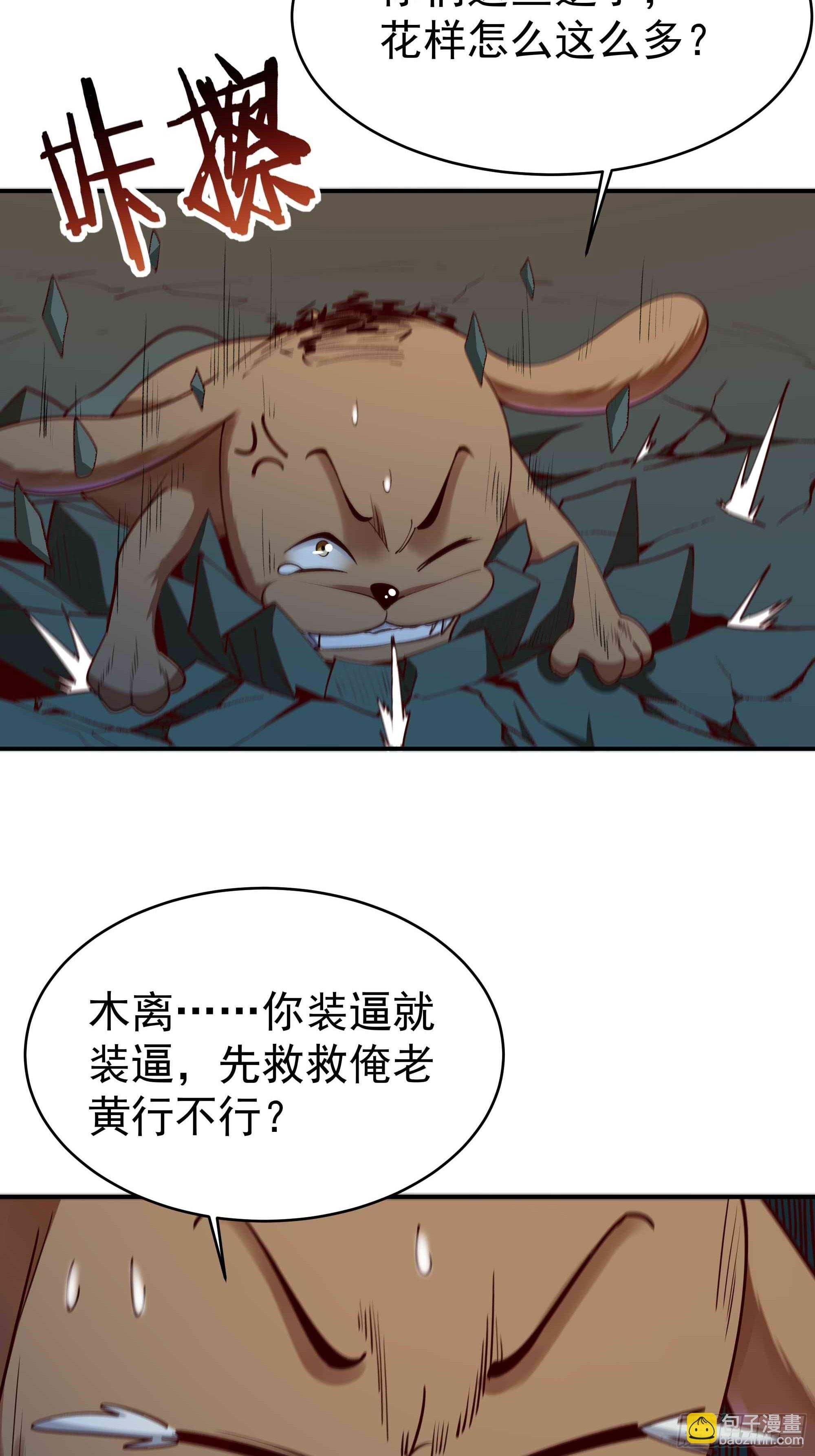 第355话 两种法则