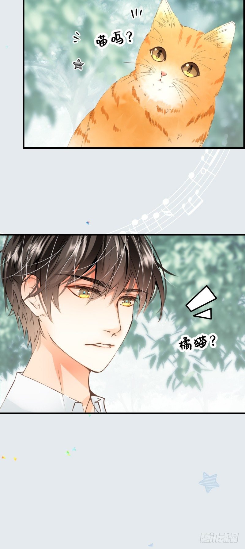 24.无机质的照相机