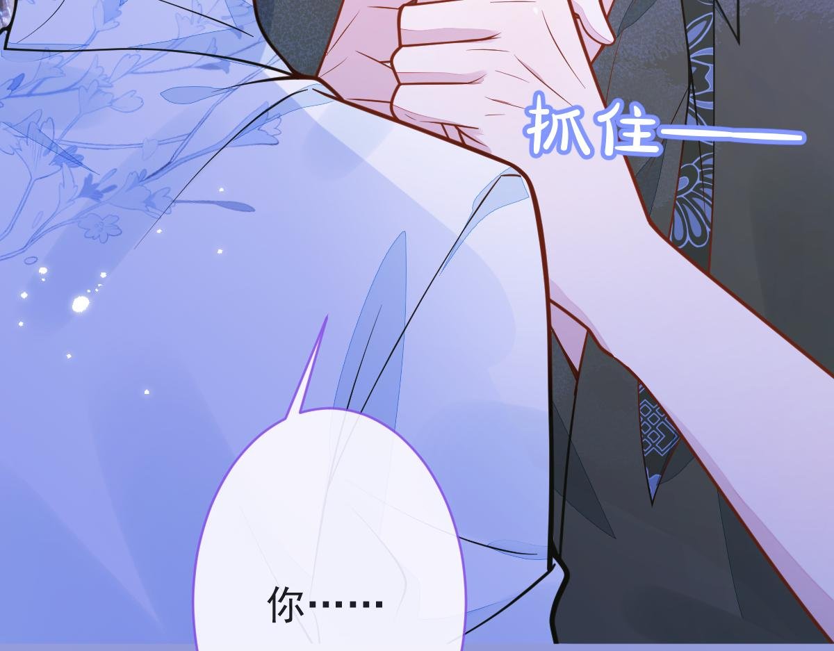 12-花孔雀。