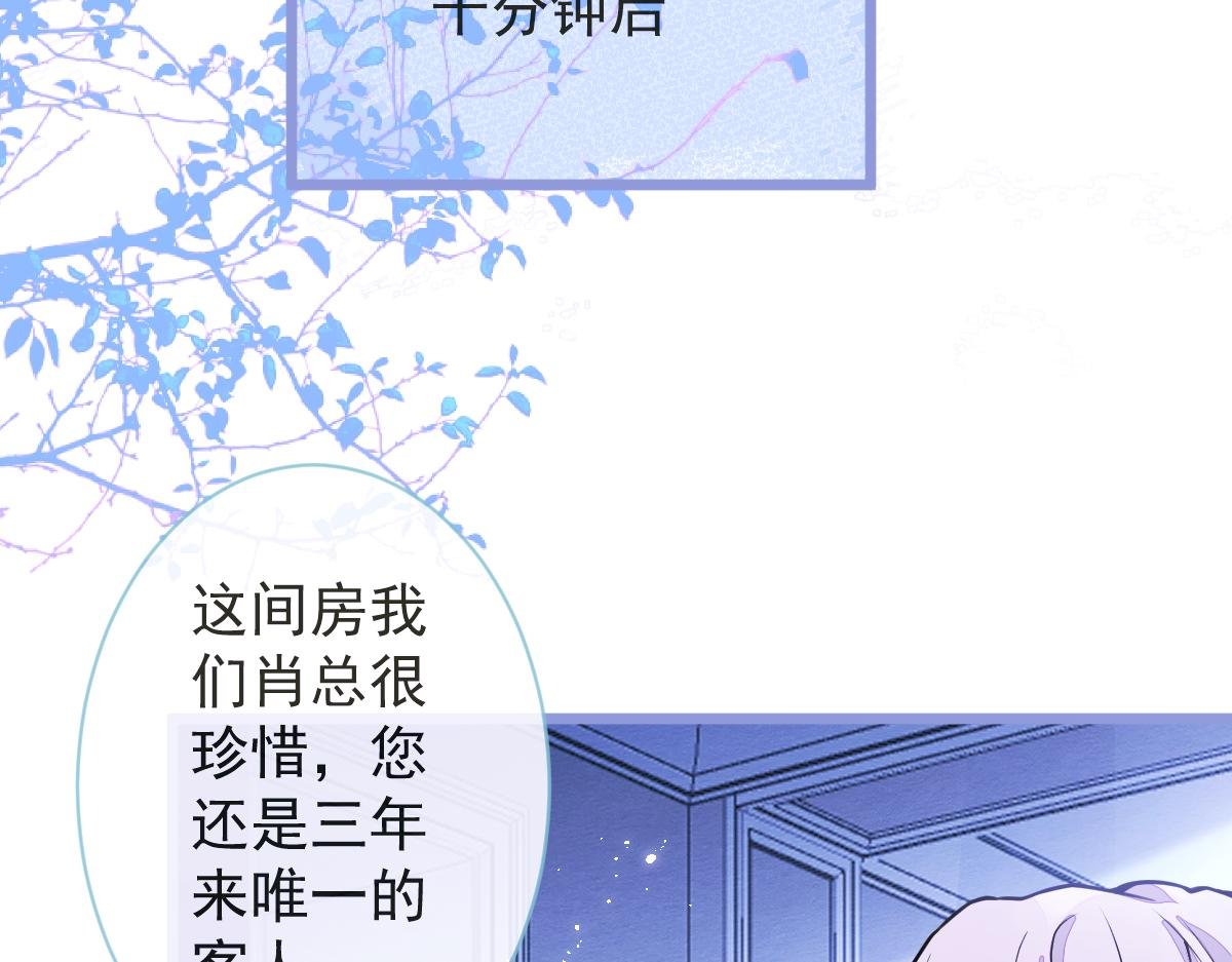 12-花孔雀。