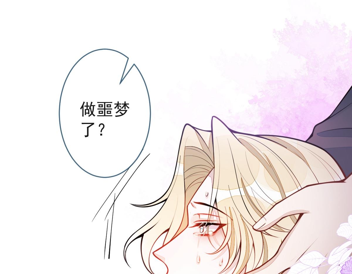 41-都是骗子。