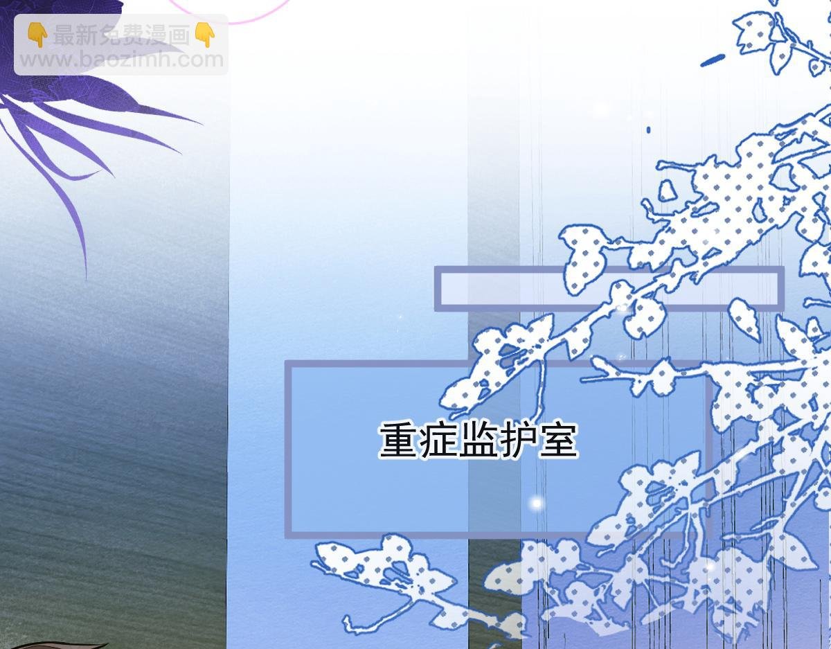 47-球球失踪