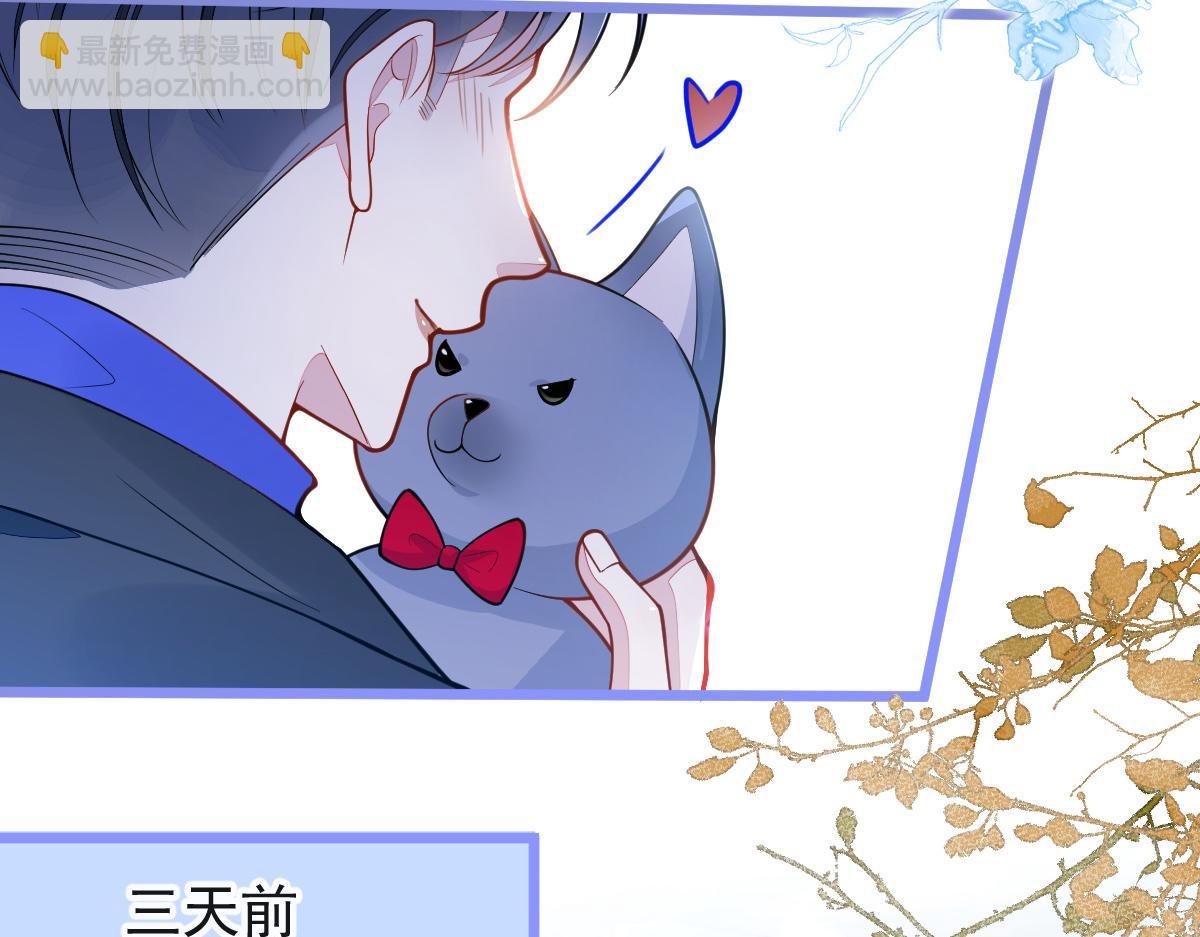 53-追妻火葬场开始