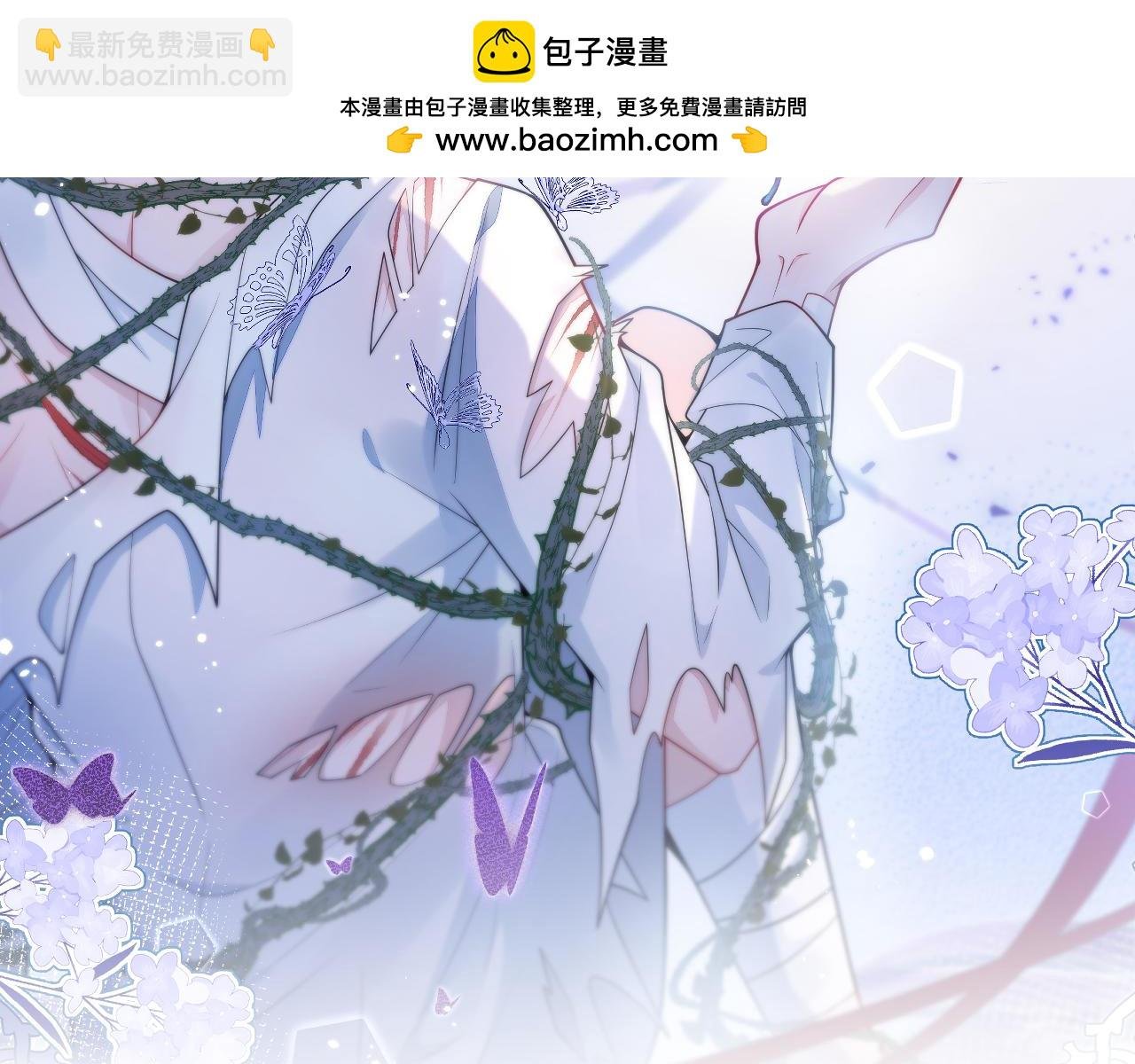 5-球球不可以！