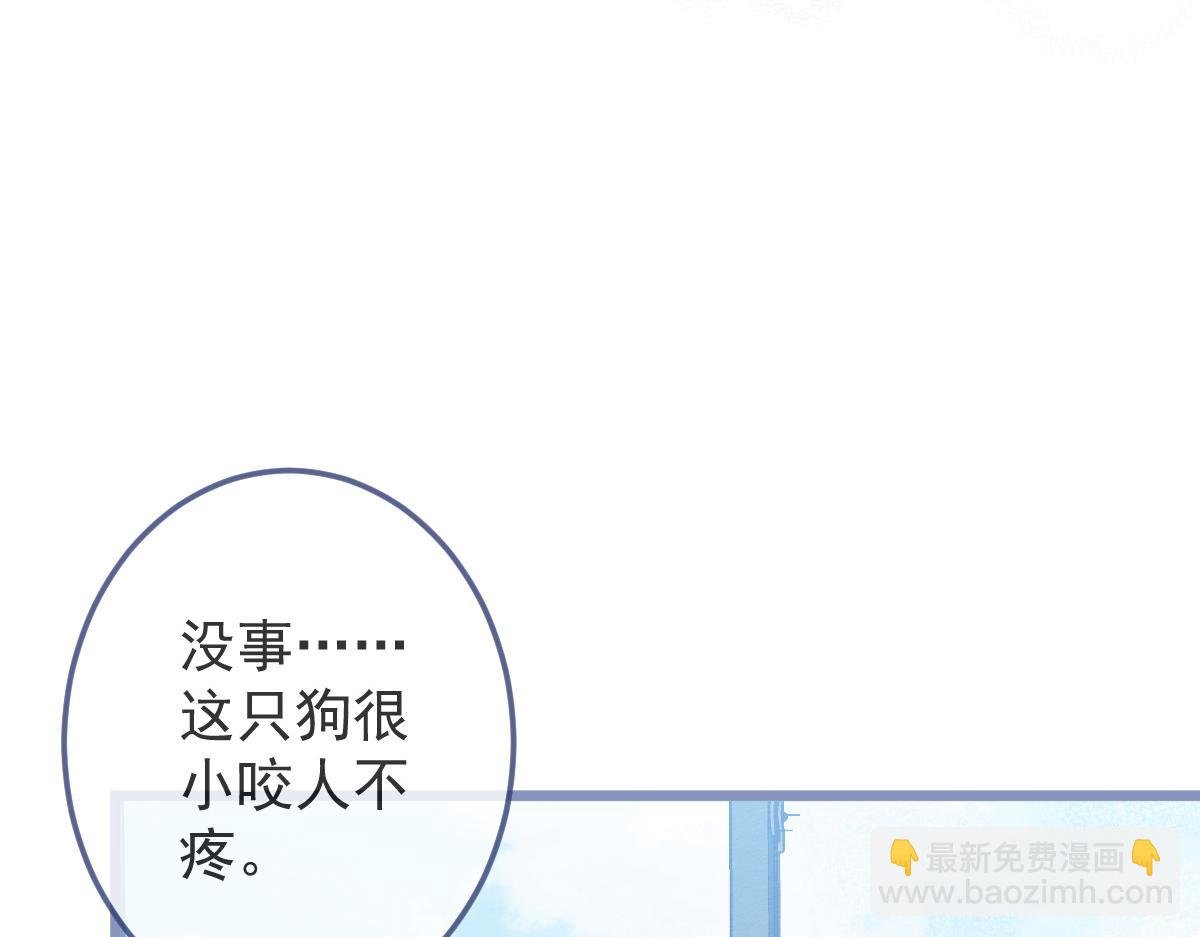 5-球球不可以！