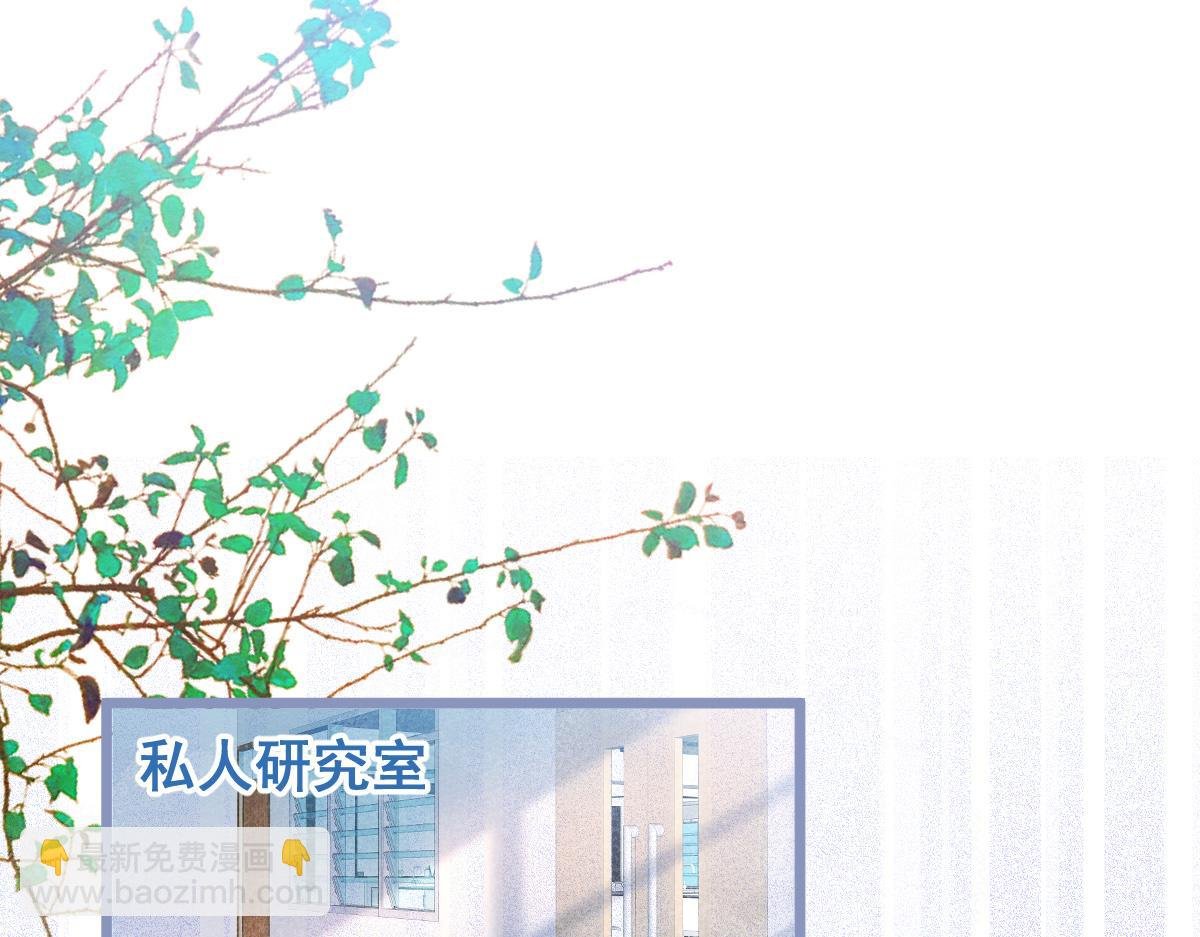 5-球球不可以！