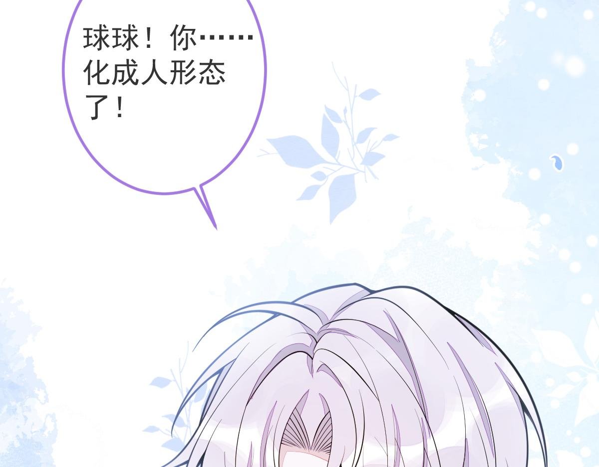 5-球球不可以！