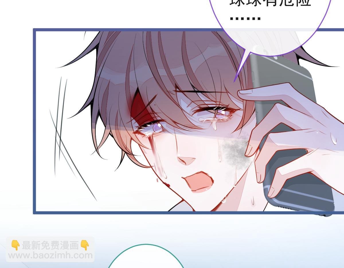 67-球球失踪！