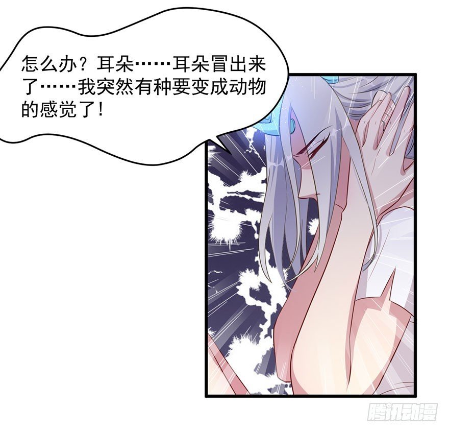 037发情期再次发作