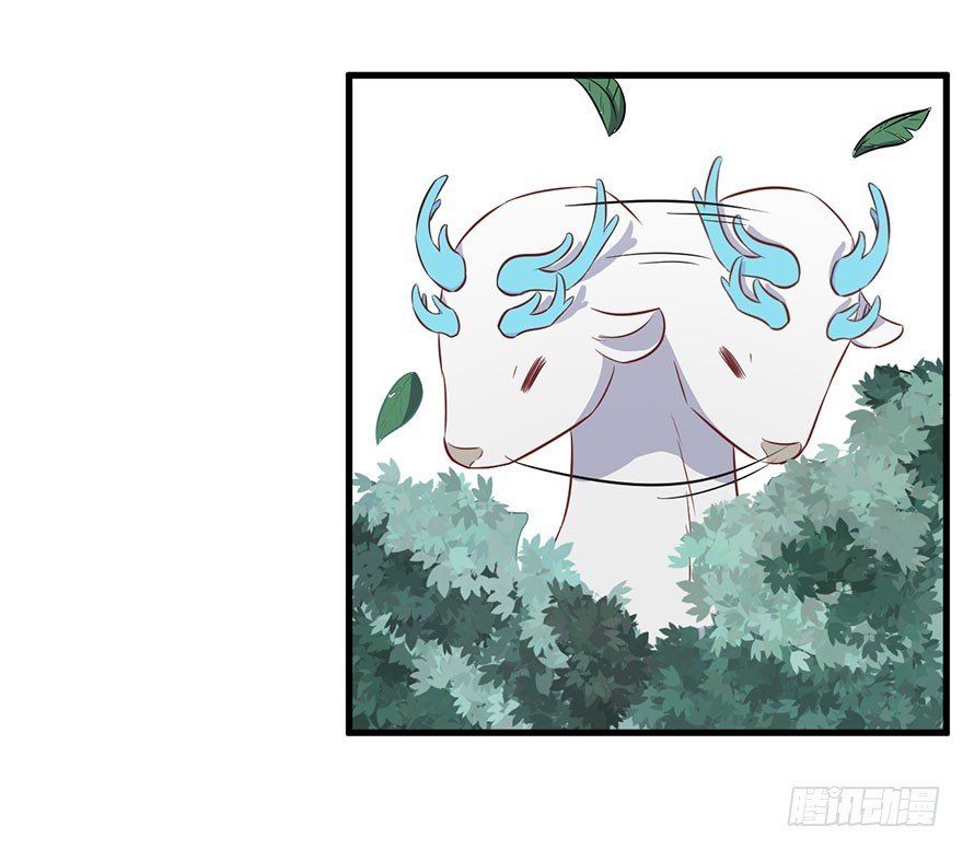 074我的新娘（完结篇）