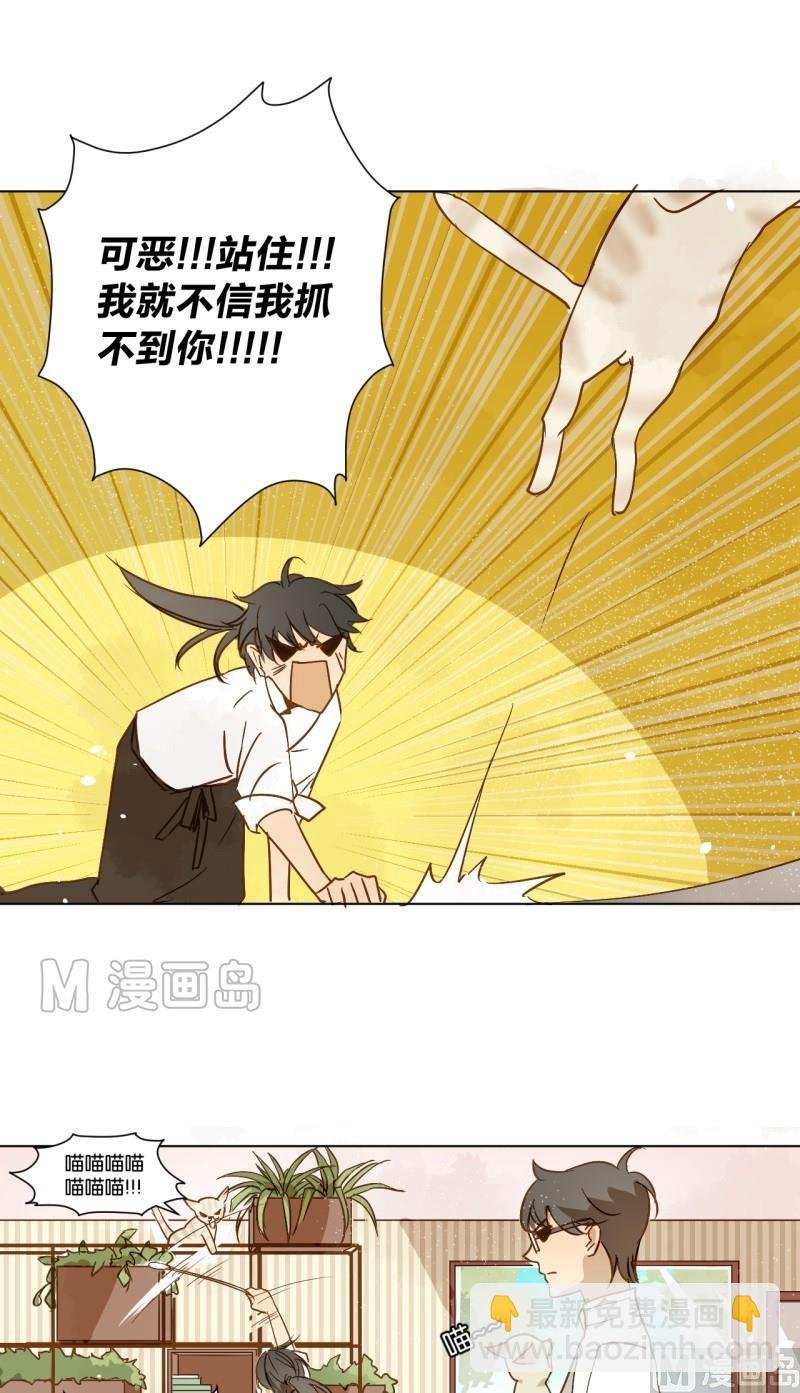 第08话 人猫大战