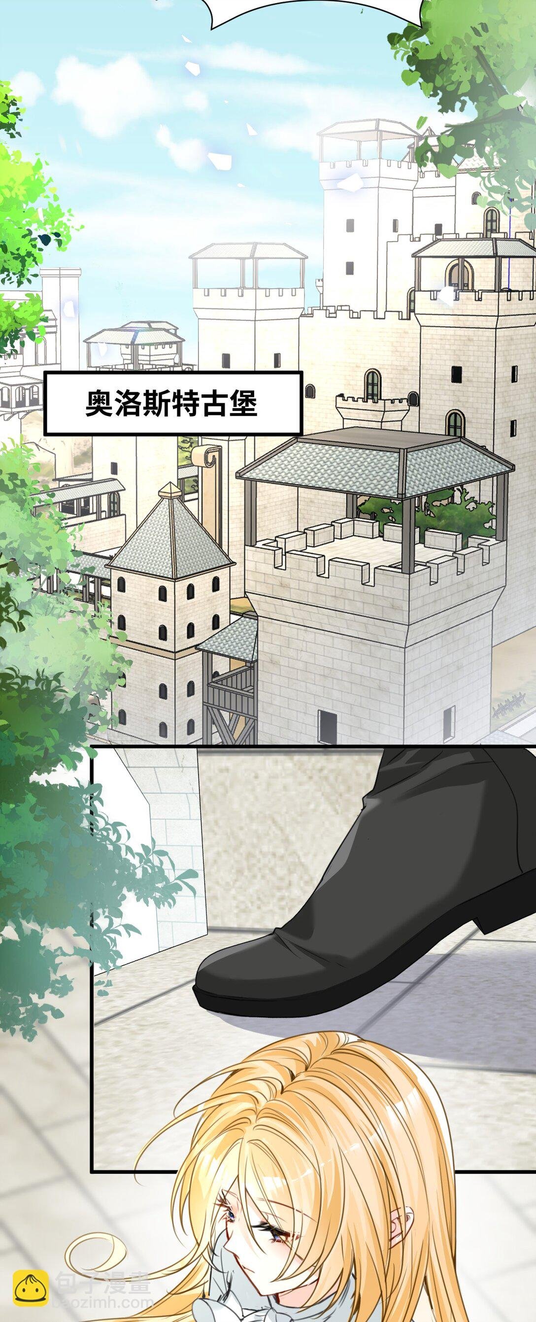035 坚定的情感