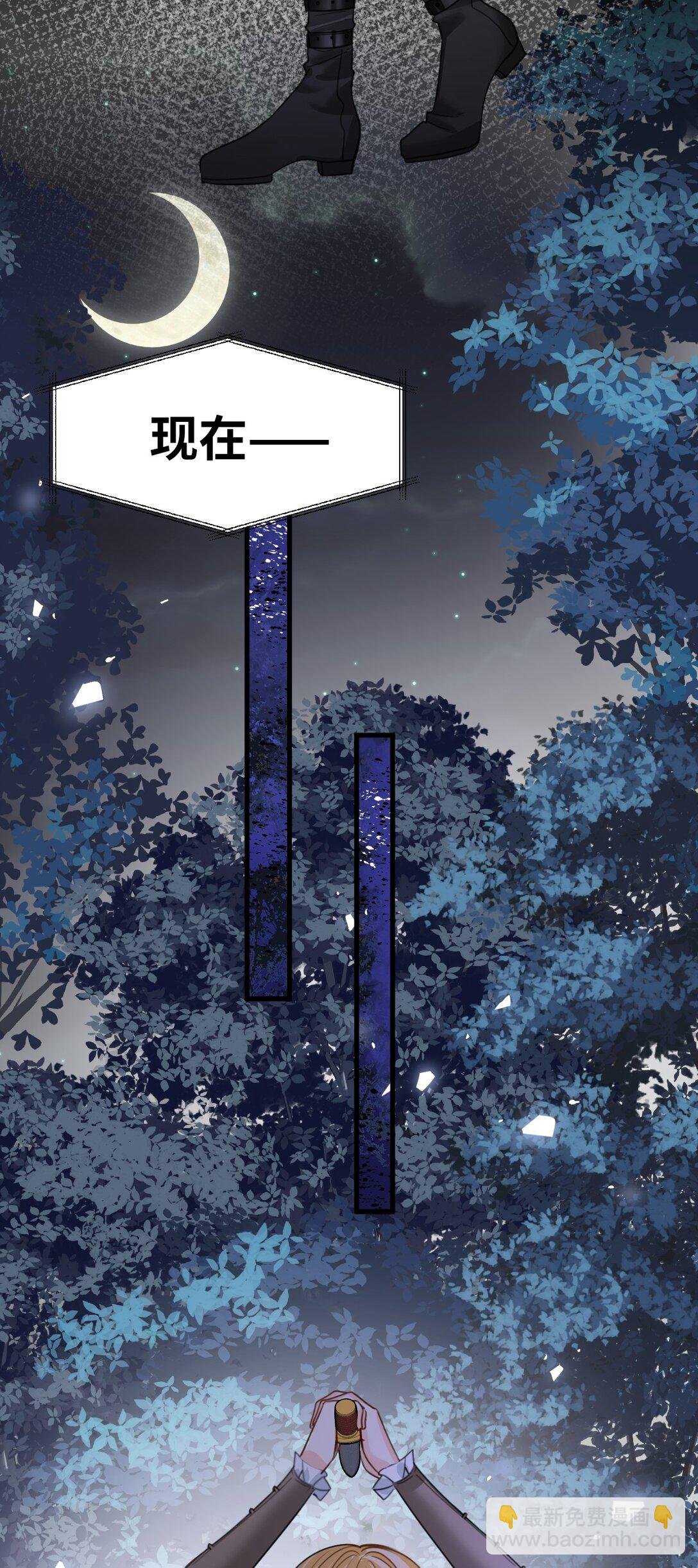 039 摇摇欲坠的伪装