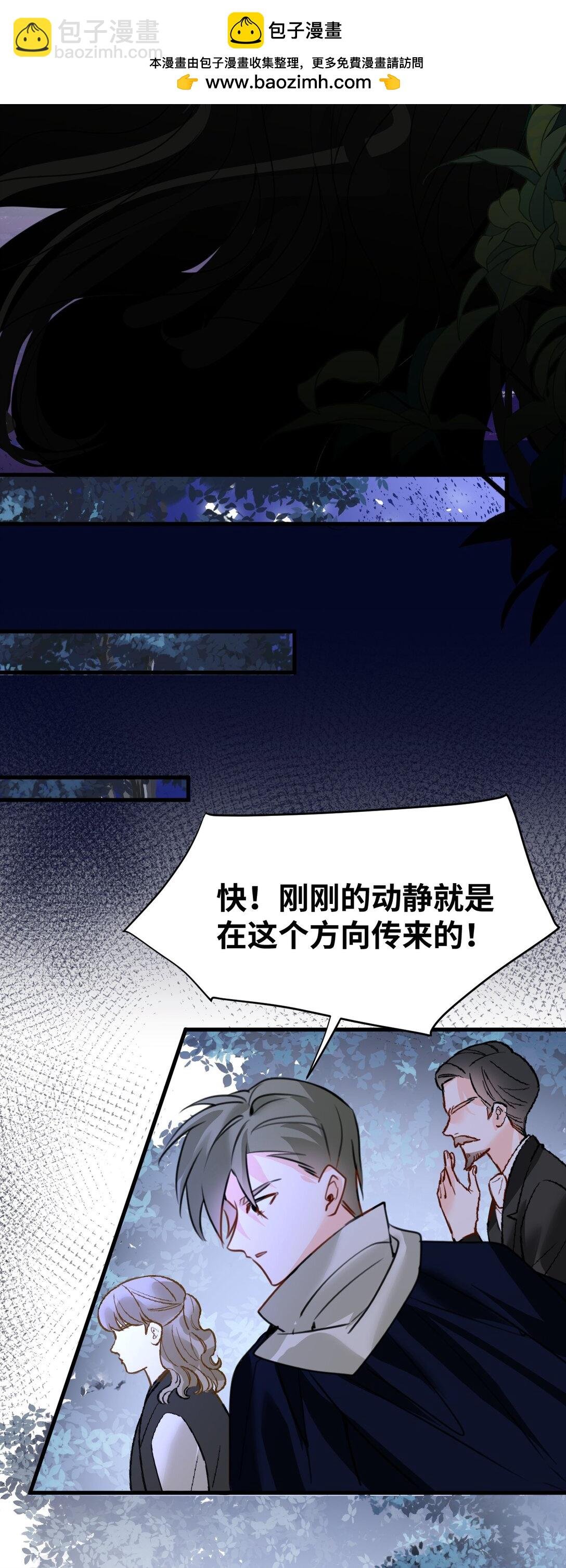 039 摇摇欲坠的伪装