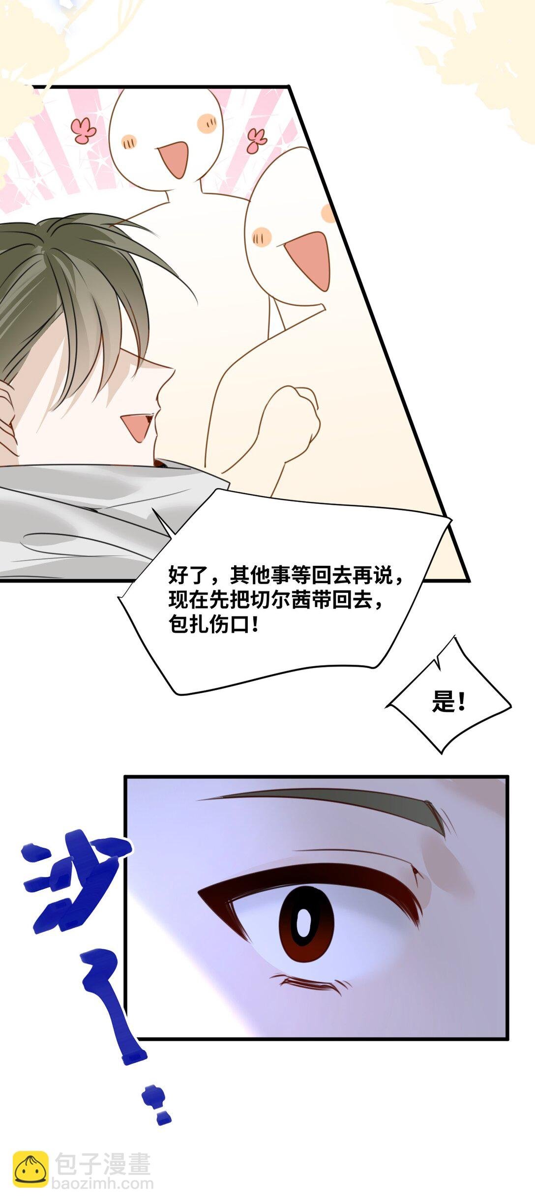 039 摇摇欲坠的伪装