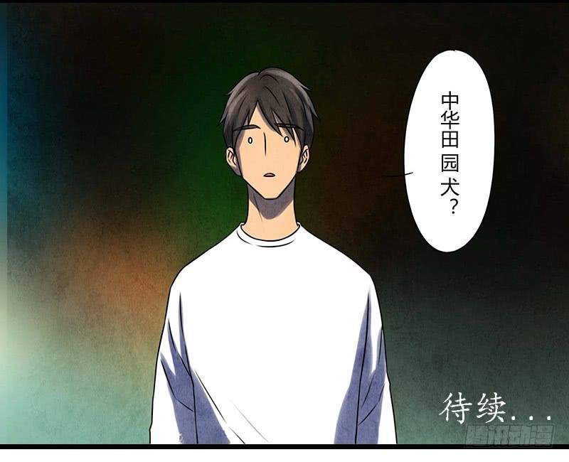 段扬