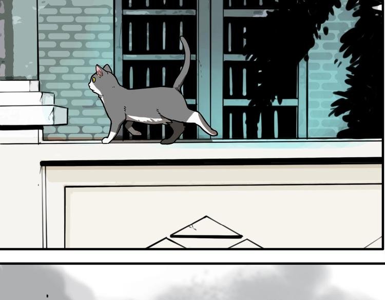 第19话 群猫
