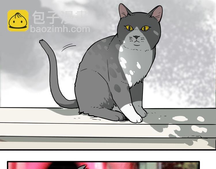 第19话 群猫