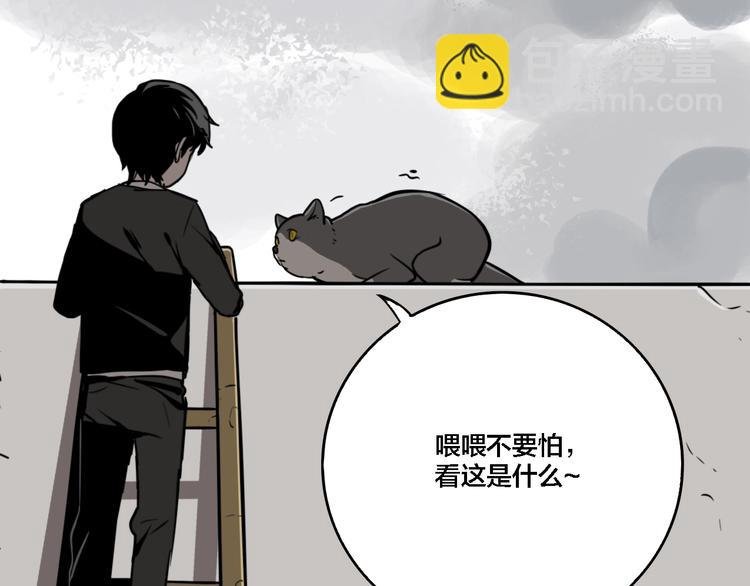 第19话 群猫