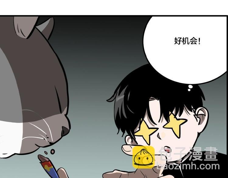 第19话 群猫