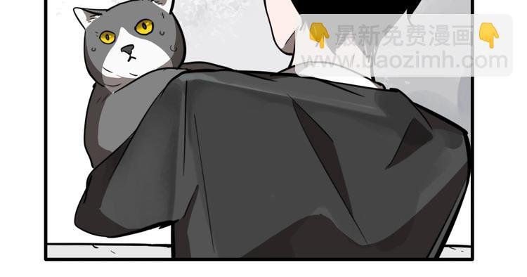 第19话 群猫