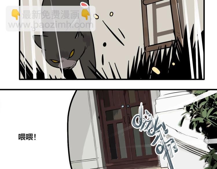 第19话 群猫