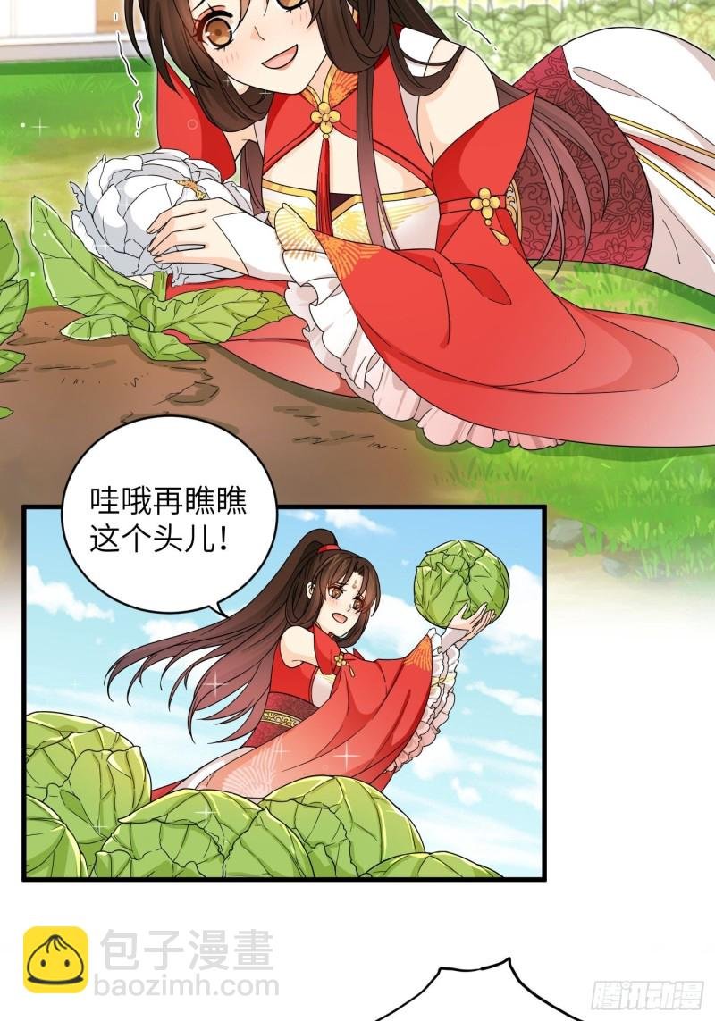 第45话 见证奇迹的赌约