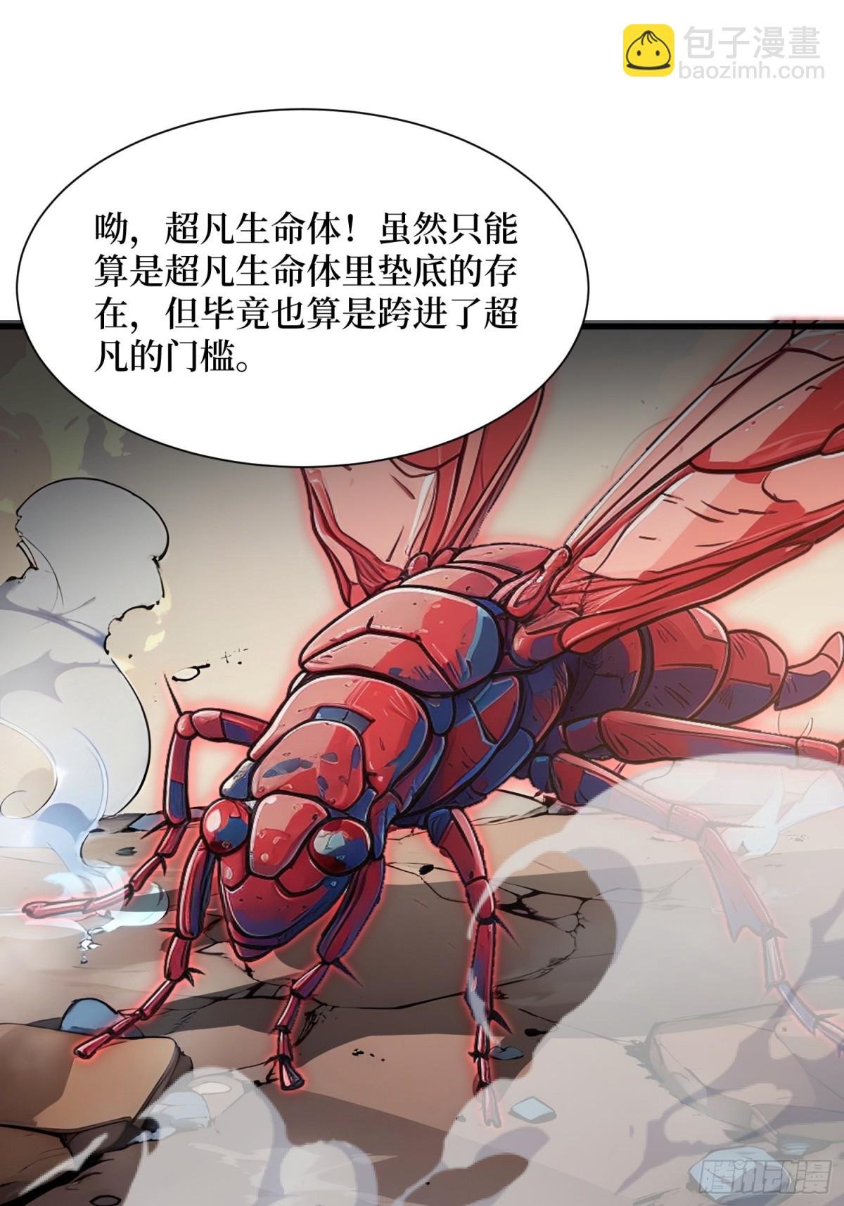 11 统考开始