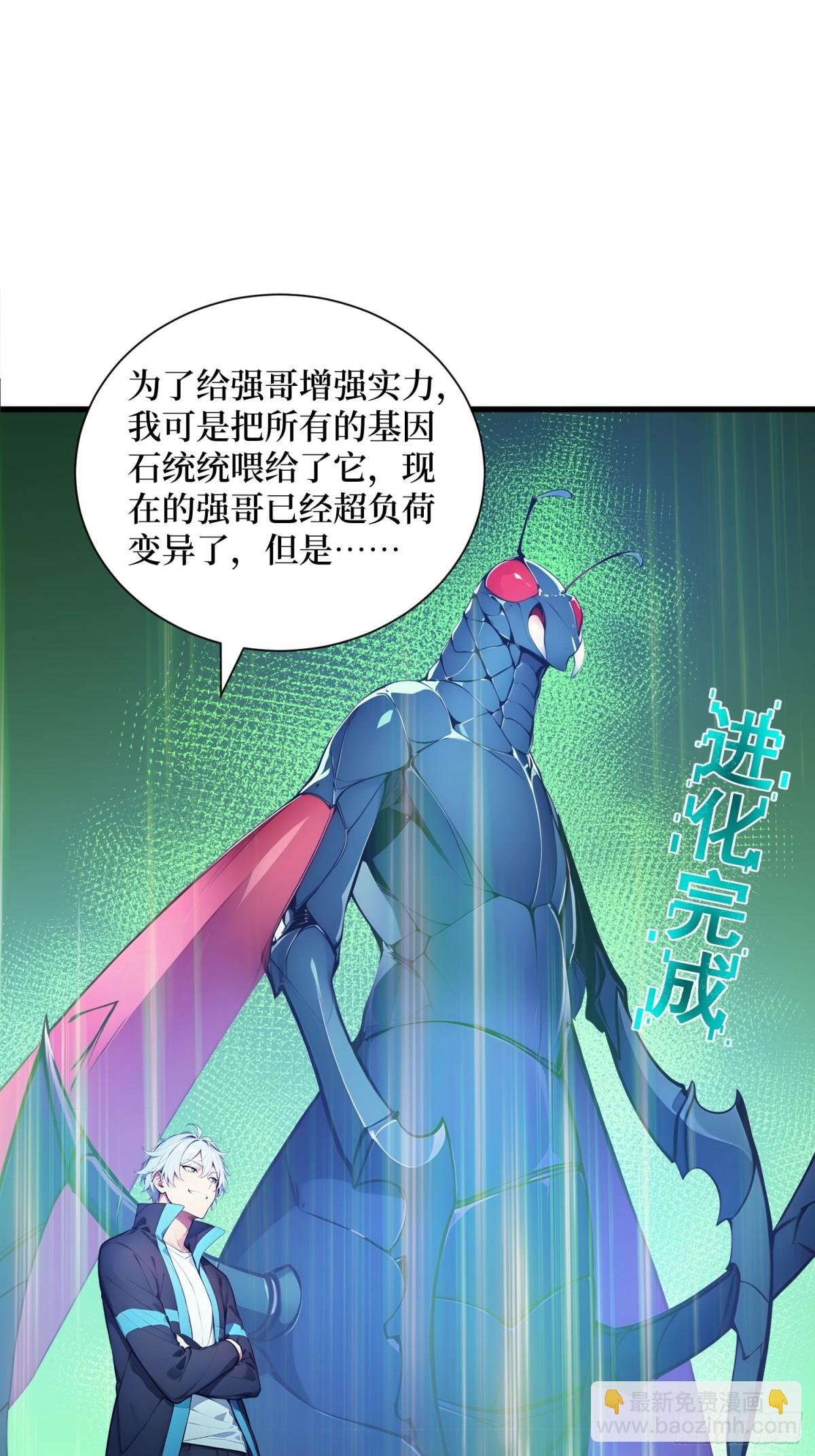 48 碾压局