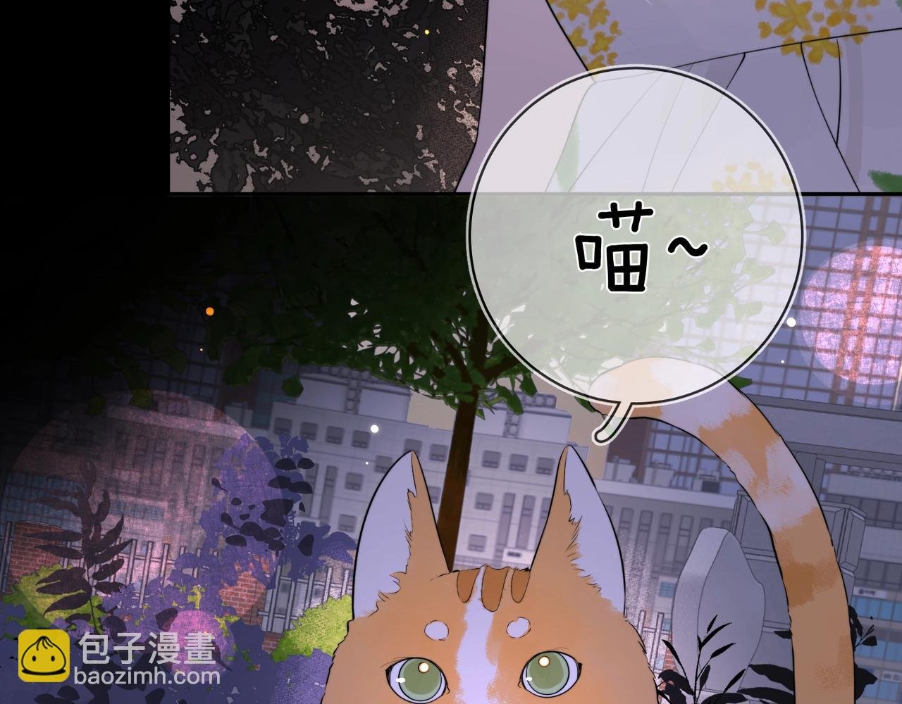 第9话 分了