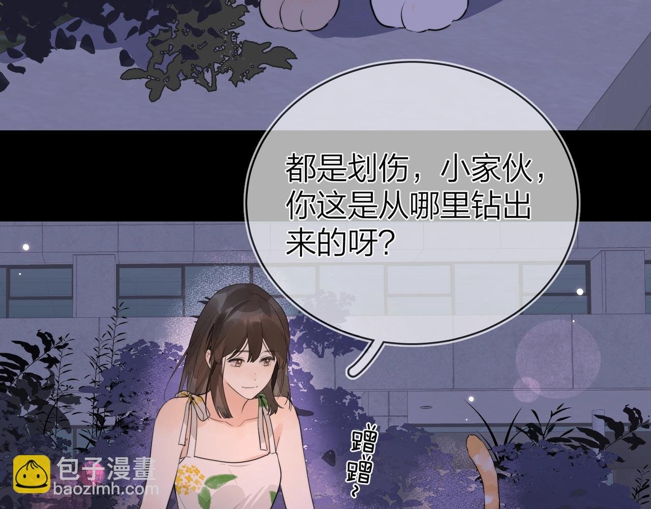 第9话 分了