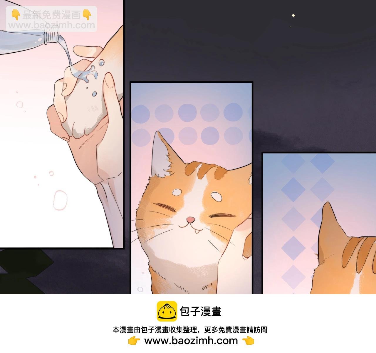 第9话 分了