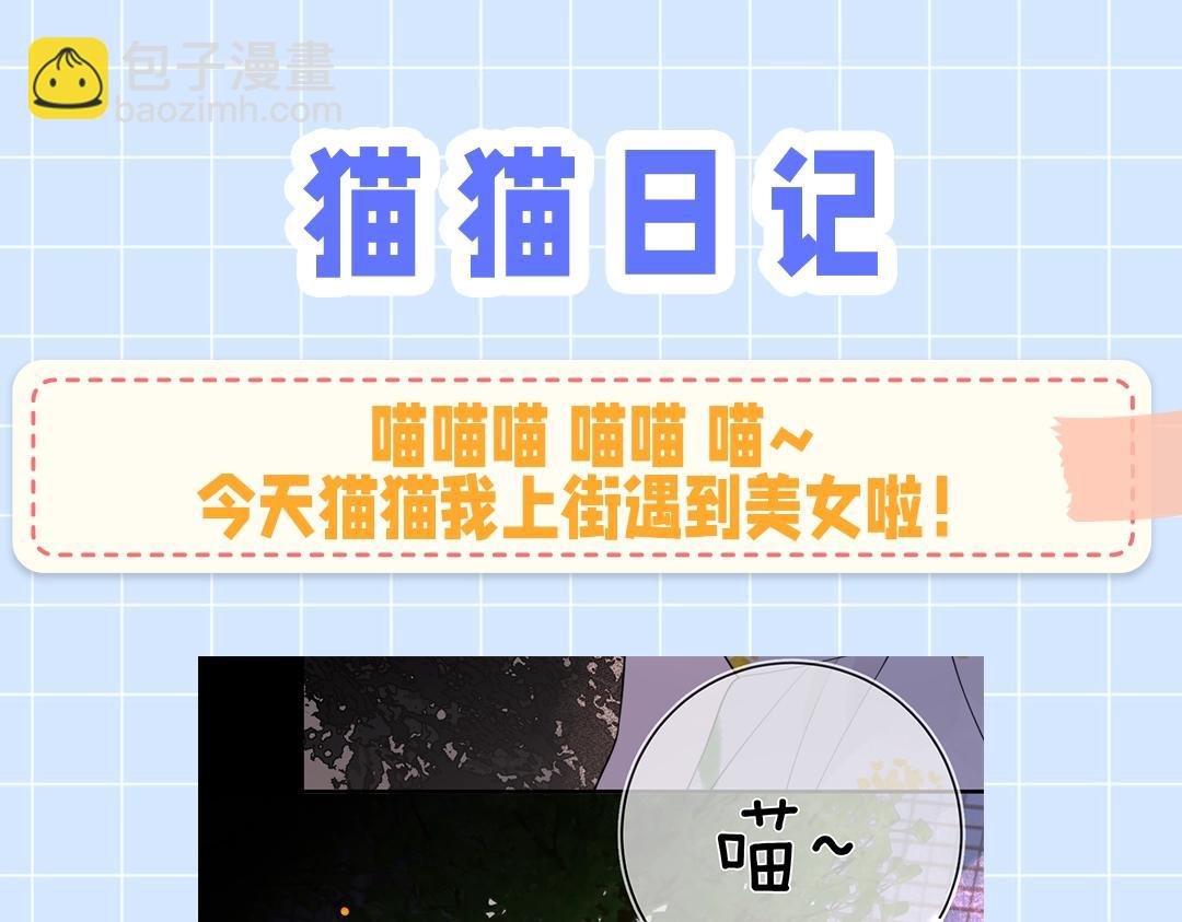 第10期小猫咪日记