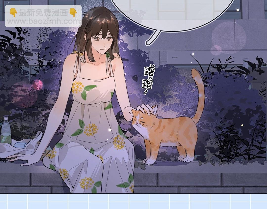 第10期小猫咪日记