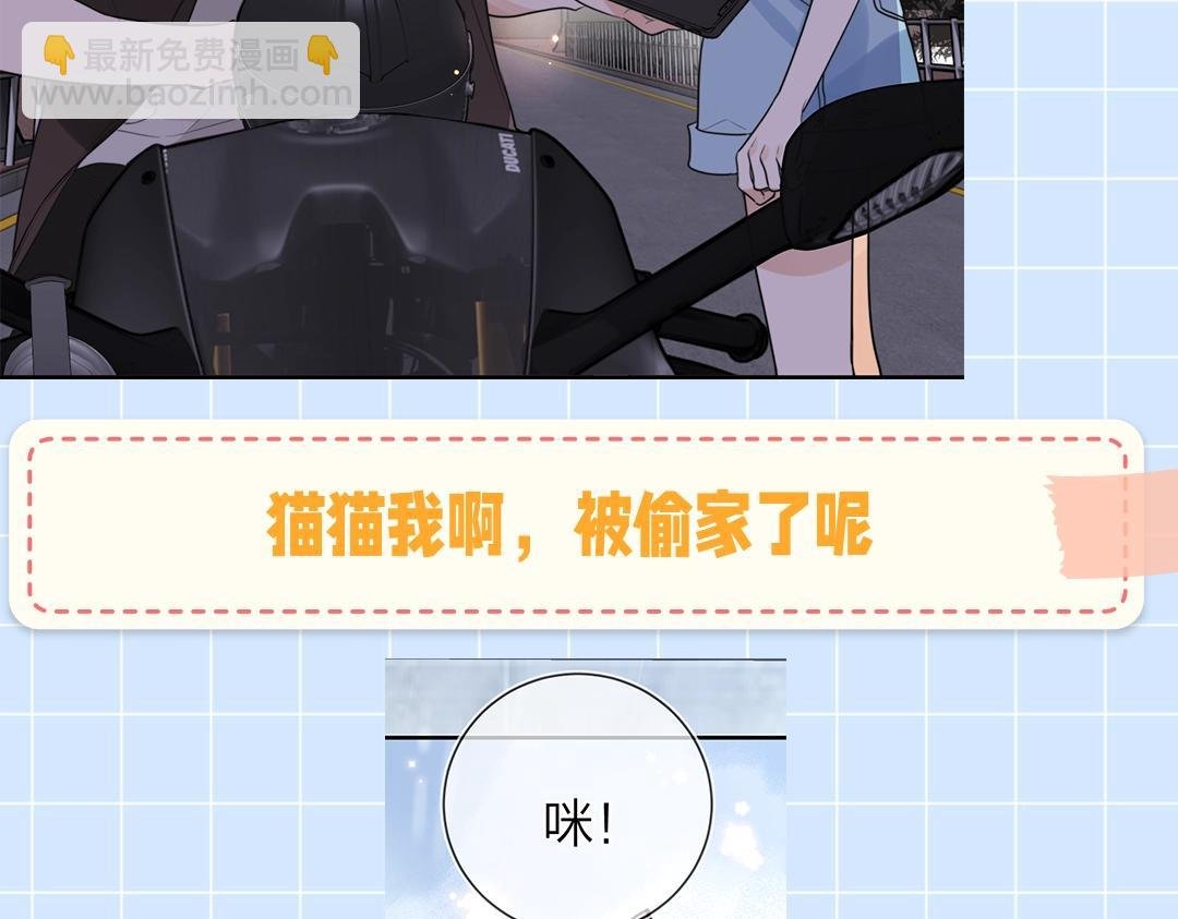 第10期小猫咪日记