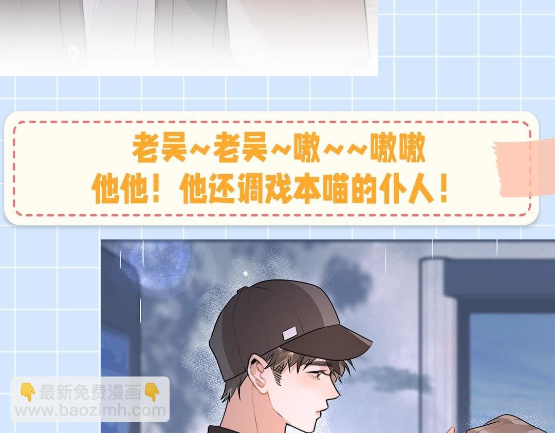 第10期小猫咪日记