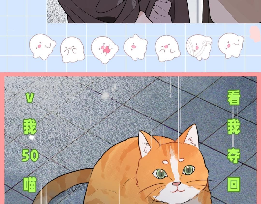 第10期小猫咪日记